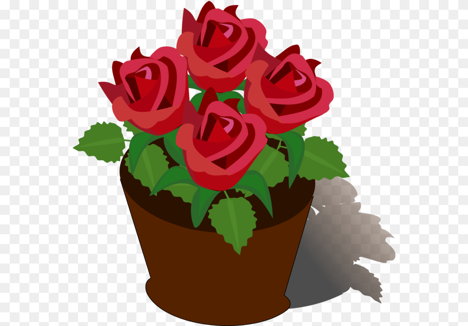 Petalplantflower Rose Flower Pot Drawing, Plant, Potted Plant, Flower Arrangement, Flower Bouquet Free Png Download