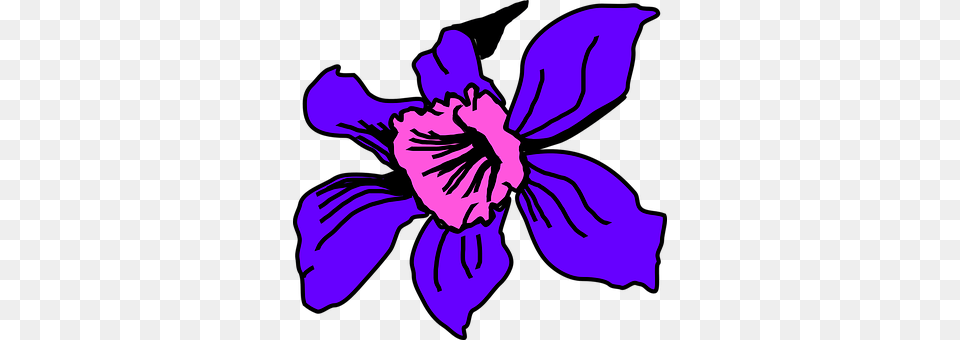 Petals Flower, Iris, Petal, Plant Free Png Download