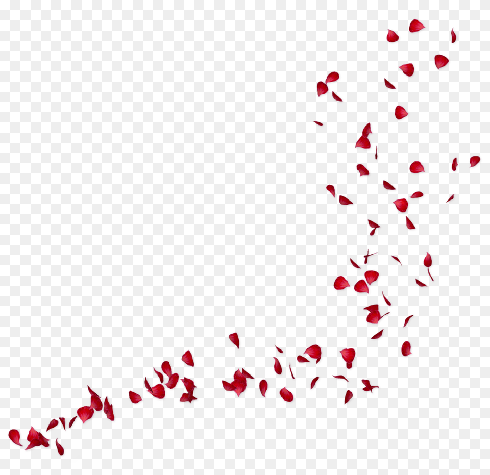 Petals, Flower, Petal, Plant, Paper Png