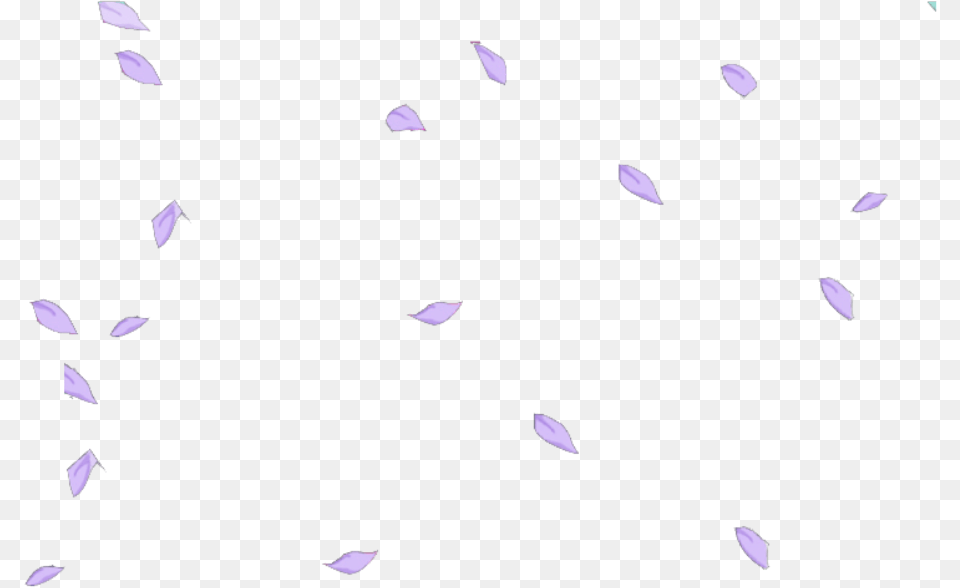 Petals Petalas Flower Lilac Purple Kawaii Feather, Plant, Petal, Paper, Confetti Free Transparent Png