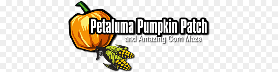 Petaluma Pumpkin Patch 2017, Food, Plant, Produce, Vegetable Free Png Download