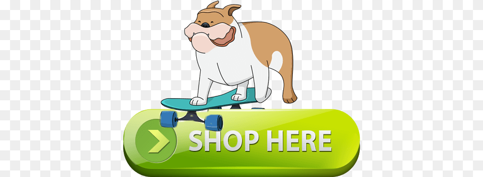 Petco Products For Dogs Review 2020 Accessories Food Skateboard Animal, Bear, Mammal, Wildlife, Pet Free Png
