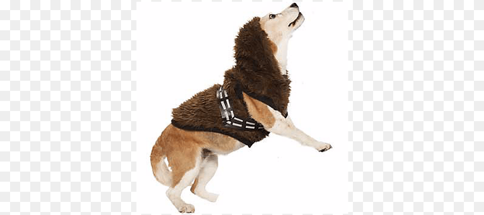 Petco Star Wars Costume Chewbacca, Harness, Animal, Canine, Dog Png