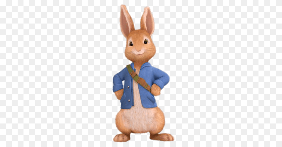 Peter Rabbit, Animal, Mammal, Toy Png