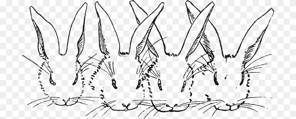 Peter Rabbit Albert, Art, Drawing, Grass, Plant Free Png