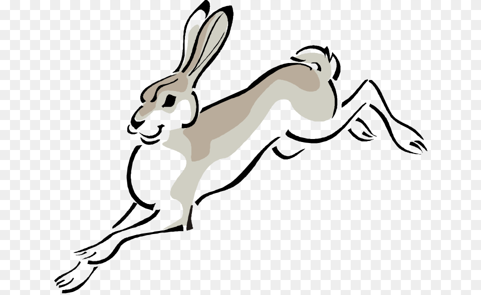 Peter Rabbit Clip Art Image, Stencil, Adult, Female, Person Png