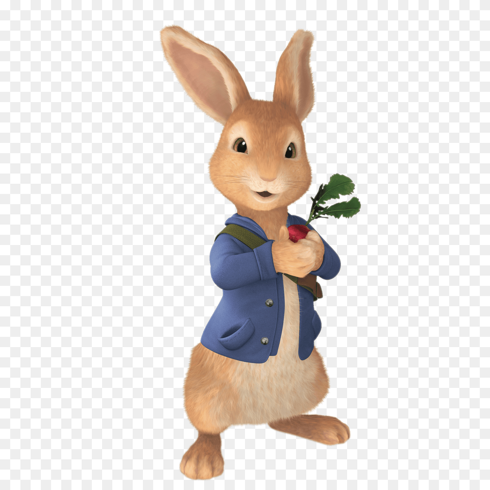 Peter Rabbit Holding Radish, Animal, Mammal Png Image
