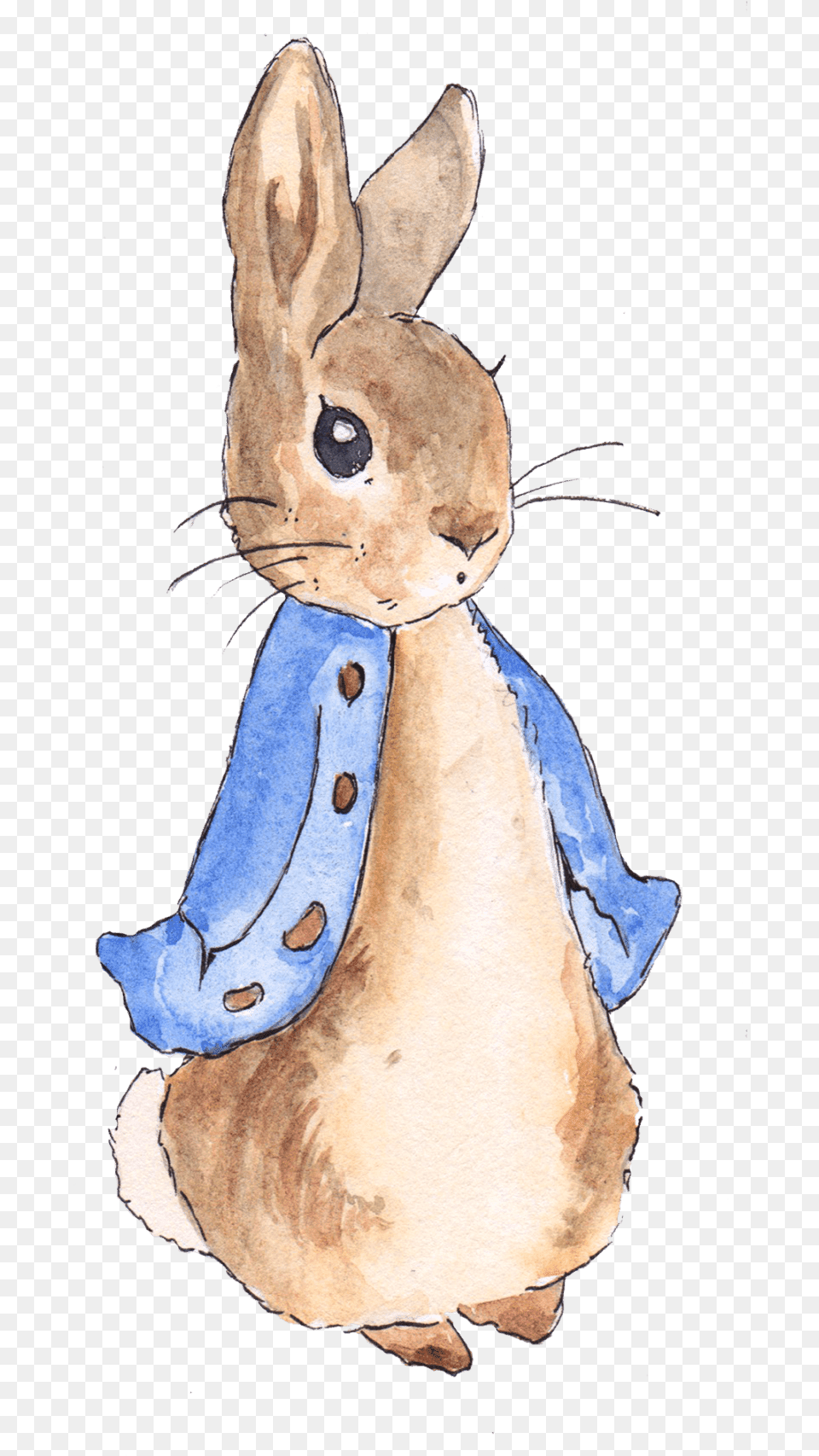 Peter Rabbit Library Peter Rabbit, Animal, Mammal, Baby, Person Png