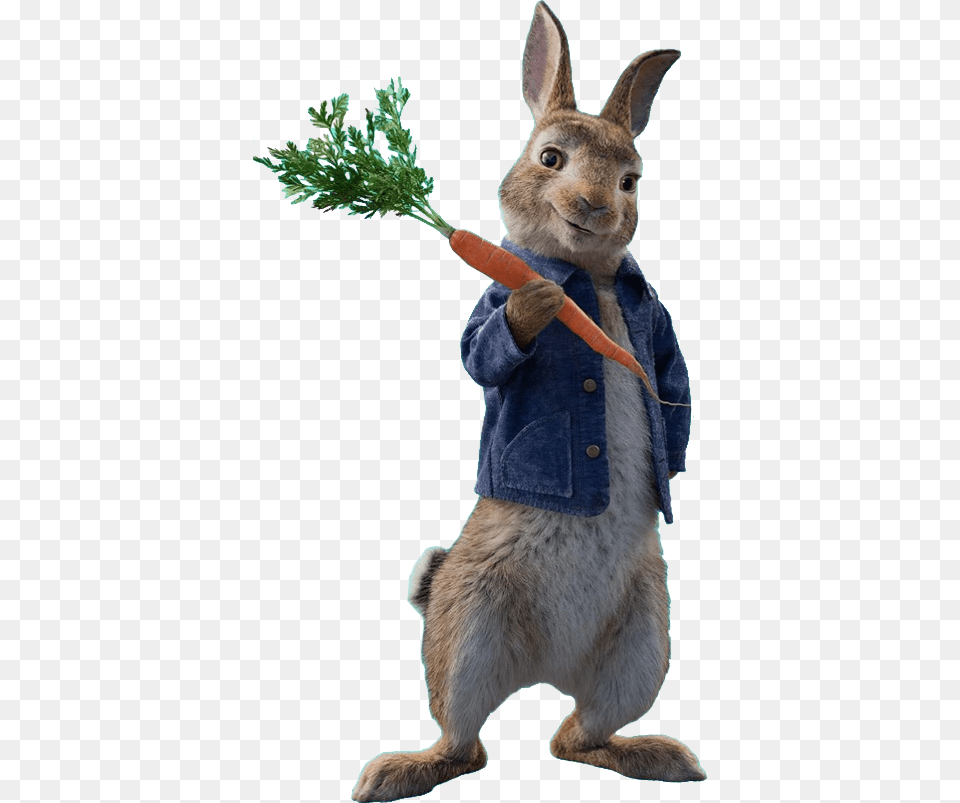 Peter Rabbit Peter Rabbit, Animal, Carrot, Food, Mammal Free Png Download