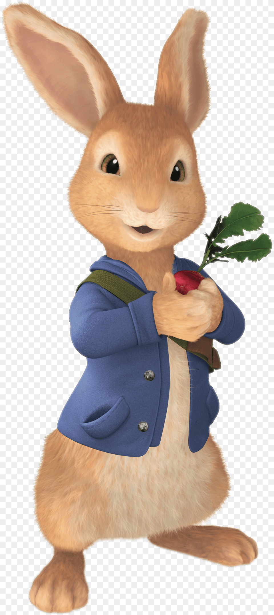 Peter Rabbit Peter Rabbit Clipart, Animal, Mammal, Toy Free Transparent Png