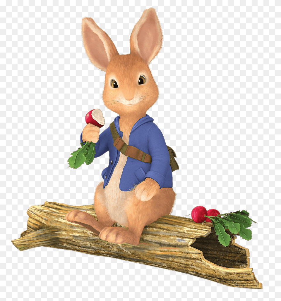 Peter Rabbit Sitting On Tree Trunk, Animal, Mammal, Rodent Png