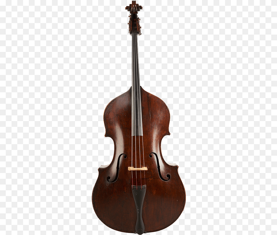 Peter Walmsley Double Bass Double Bass, Cello, Musical Instrument, Violin Png