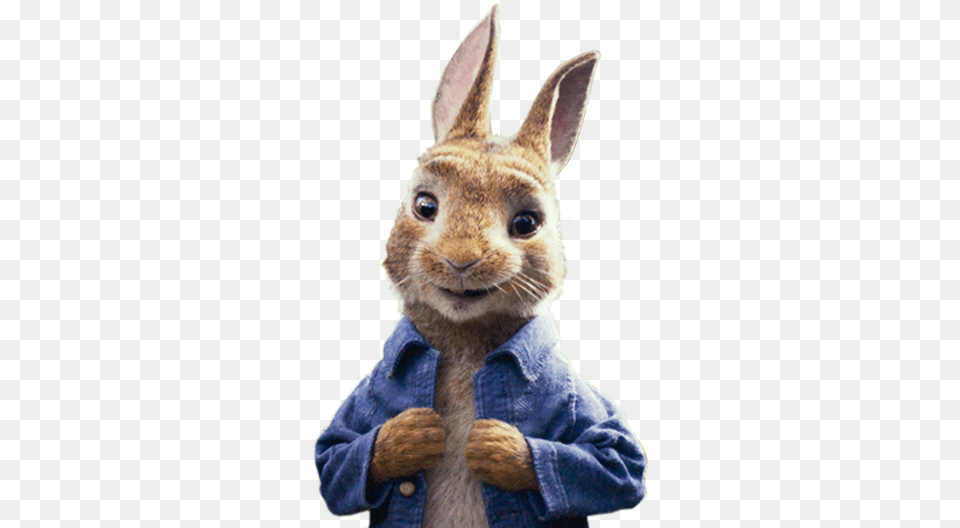 Peter Zajec Peter Rabbit Film Character, Animal, Mammal, Hare, Rodent Free Png Download