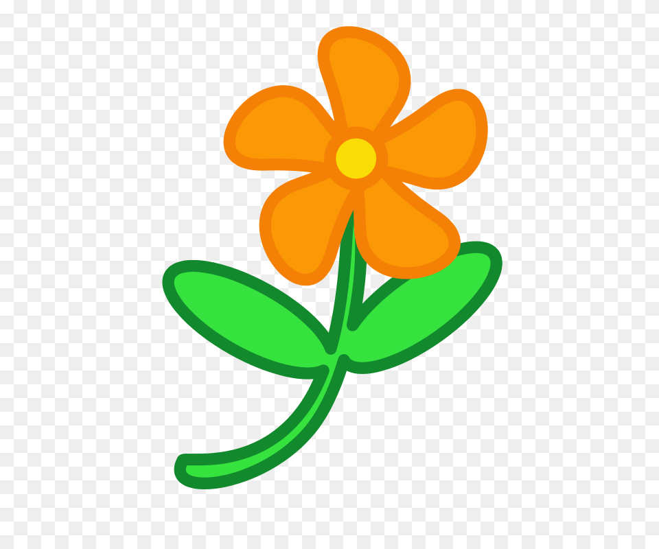 Peterm Flower, Petal, Plant, Anemone, Daisy Png Image