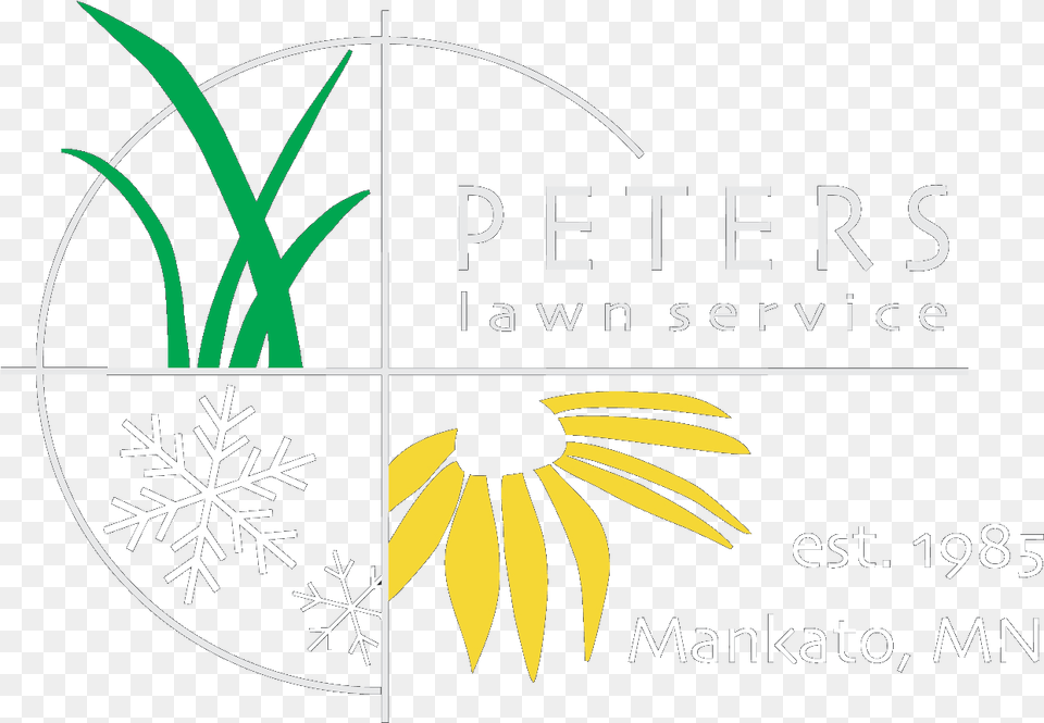 Peters Lawn Service Daisy, Flower, Plant, Nature Free Png Download