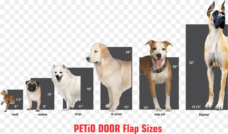 Petio Door Is The Ultimate All In One Pet Door Solution American Staffordshire Terrier, Animal, Canine, Dog, Mammal Png