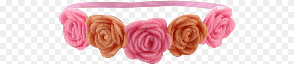 Petite Bello Headband Champagne Rose Flower Champagne Headband, Accessories, Plant, Food, Sweets Free Png Download