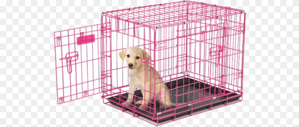 Petmate Crate Pink, Animal, Canine, Dog, Mammal Free Png