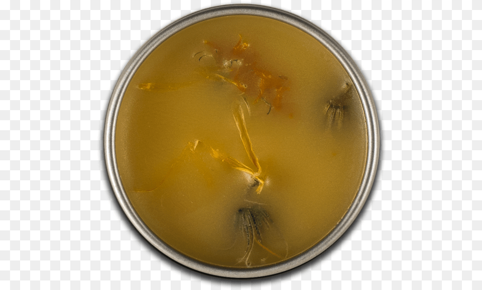 Petri Dish, Food, Meal, Bowl Png Image