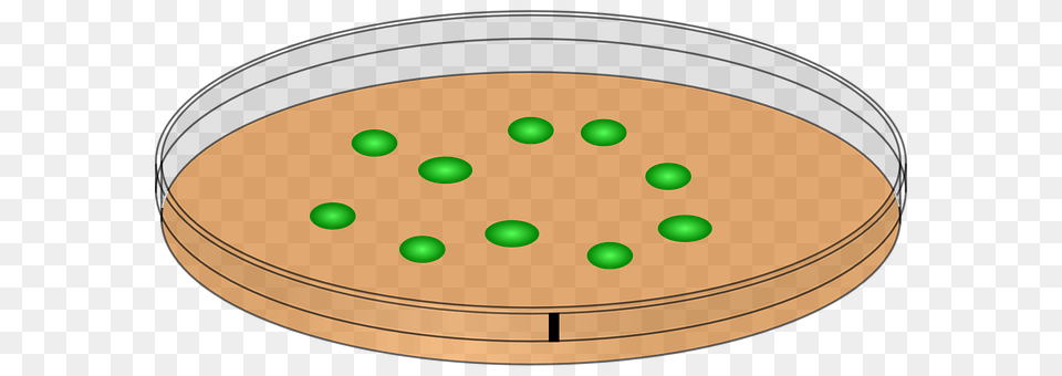 Petri Dish Disk, Light, Traffic Light, Sphere Png