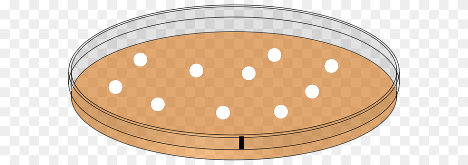 Petri Dish Lighting, Pattern, Disk Png Image