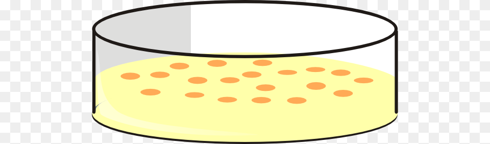 Petri Dish Clip Art, Bread, Food Png Image