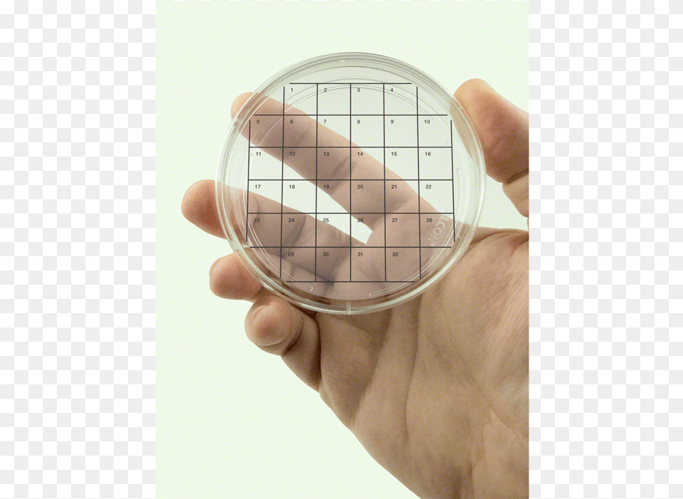Petri Dish Stickers Fungi Perfecti Llc, Baby, Person, Text Png