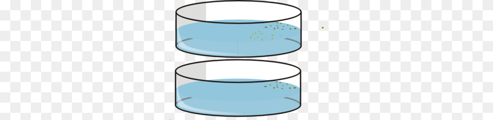 Petri Dishes With Seeds Clip Art, Cylinder, Glass, Cup Free Png Download