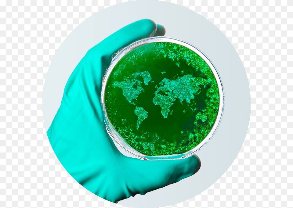 Petri World Corono Virus Petri Dish, Accessories, Clothing, Glove, Gemstone Free Transparent Png