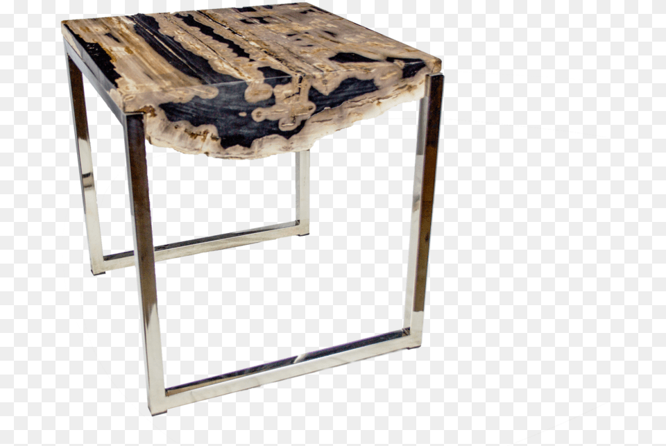 Petrified Log Slice Accent Table, Coffee Table, Furniture, Desk, Wood Free Transparent Png