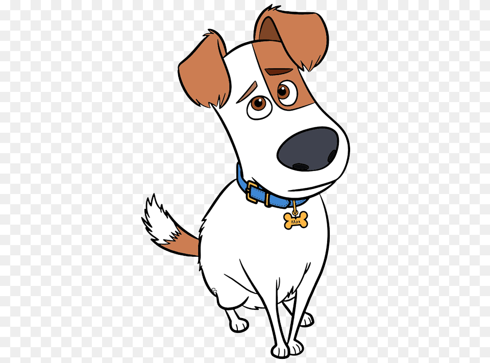 Pets Cartoon Cliparts, Baby, Person, Accessories, Animal Png