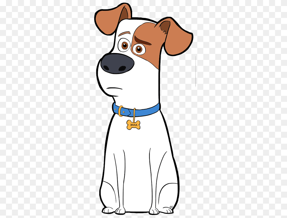 Pets Cartoon Cliparts, Person, Baby, Snout, Accessories Free Png Download
