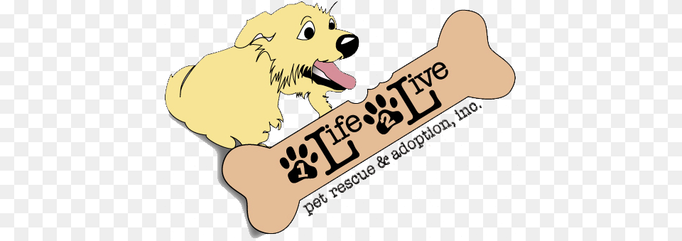 Pets Clipart Animal Adoption, Bear, Mammal, Wildlife, Text Free Transparent Png