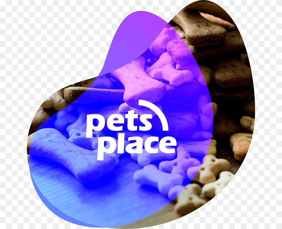 Pets Place Case Study Header Image Heart, Baby, Person, Face, Guitar Free Png Download
