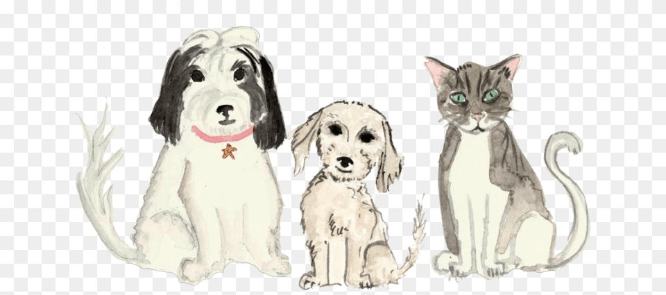 Pets Portable Network Graphics, Animal, Canine, Dog, Mammal Png Image
