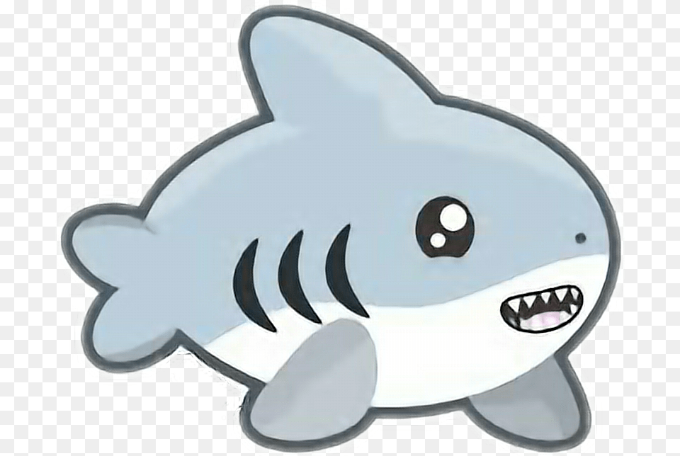 Petsandanimalscute Kawaii Requin Shark Shark Kawaii, Animal, Sea Life, Fish Png Image