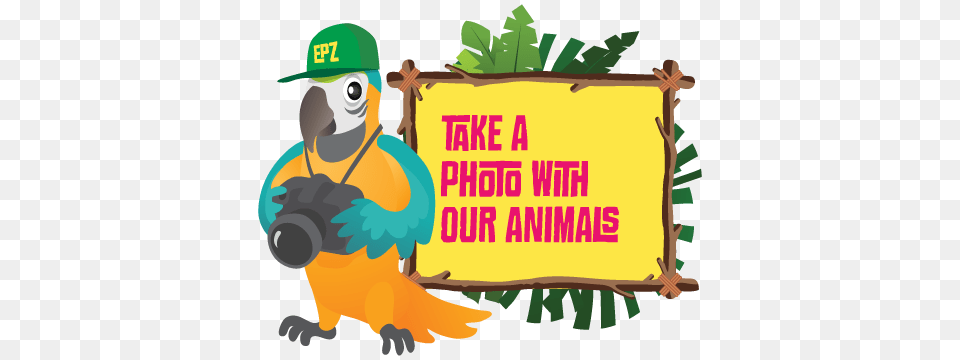 Petting Zoo Gallery, Plant, Vegetation, Animal, Person Png Image