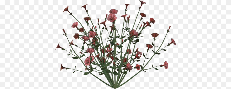 Petunia Bunch Ink Wash Painting, Flower, Flower Arrangement, Petal, Plant Png Image