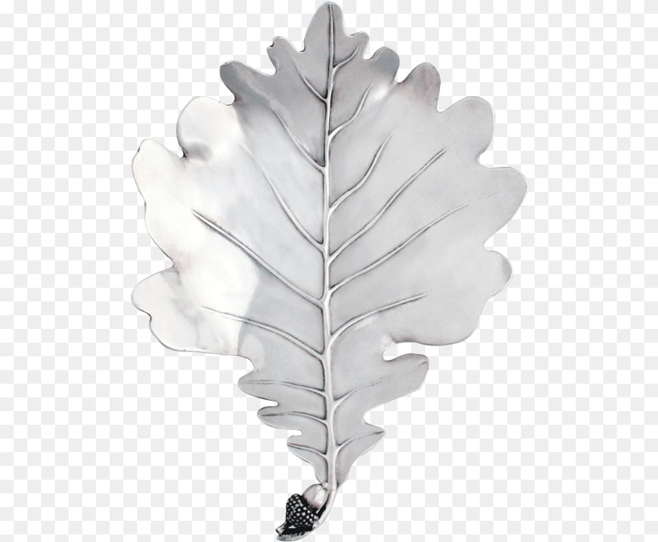 Pewter White Oak Leaf Plate Earrings, Plant, Food, Nut, Produce Free Png