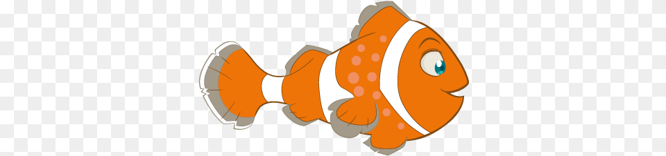 Pez Payaso Club Clownfish, Amphiprion, Animal, Fish, Sea Life Free Png