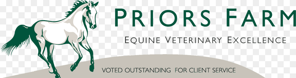 Pfevs Priors Farm Equine Surgery, Animal, Horse, Mammal, Stallion Free Transparent Png
