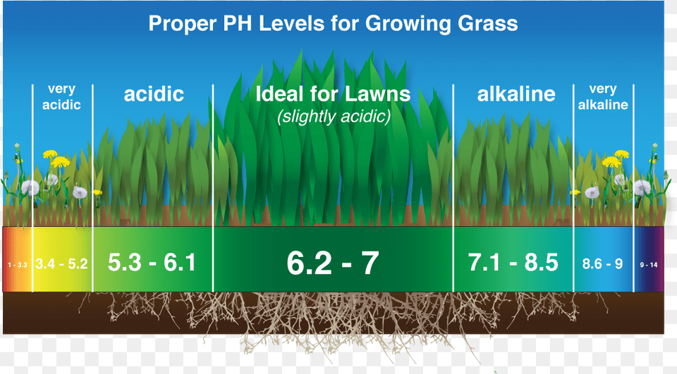 Ph Adjustments Grass, Plant, Soil, Vegetation, Text Free Transparent Png