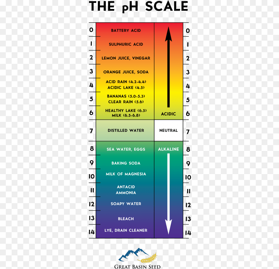 Ph Scale No Background Cartoons Ph Scale No Background, Advertisement, Poster Free Png Download