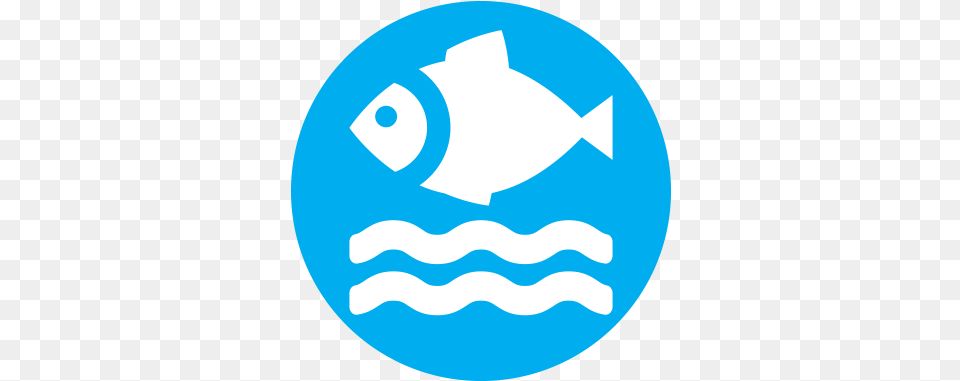 Ph Tracer Pocketester Fish, Logo, Animal, Sea Life Png