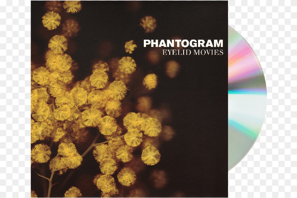 Phantogram Mouthful Of Diamonds, Flower, Plant, Mimosa Png