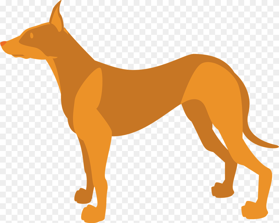 Pharaoh Hound Dog Clipart, Animal, Canine, Mammal, Pet Free Png Download