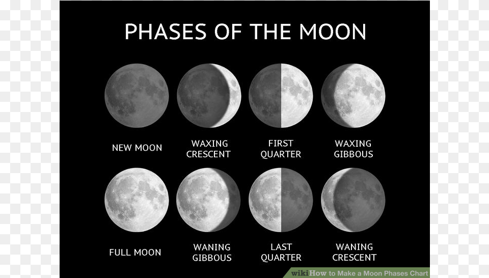 Phases 2048 2048 3rd Grade Moon Phases Quiz, Astronomy, Nature, Night, Outdoors Png