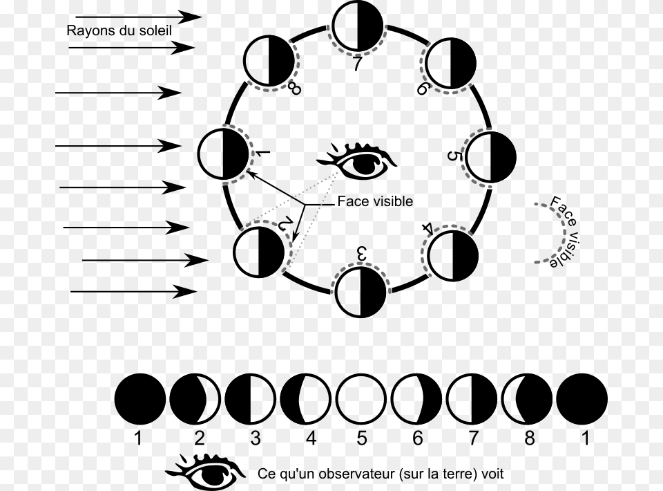 Phases Of The Moon Clip Art Blackboard, Analog Clock, Clock, Nature Free Png