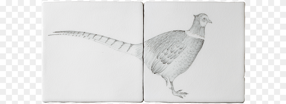 Pheasant 2 Tile Panel A By Marlborough Tiles Ring Necked Pheasant, Art, Drawing, Animal, Bird Png