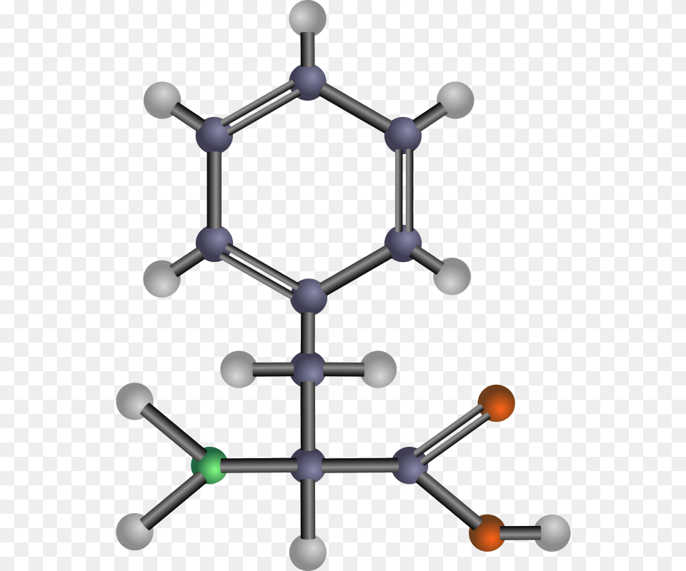 Phenylalanine, Network, Mace Club, Weapon Free Png